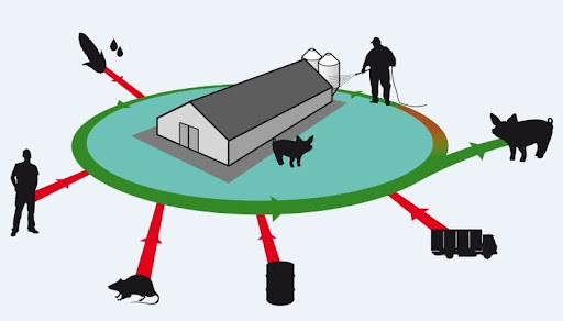 Імунітет стада тварин: стратегії контролю за захворюваннями та популяційне здоров’я